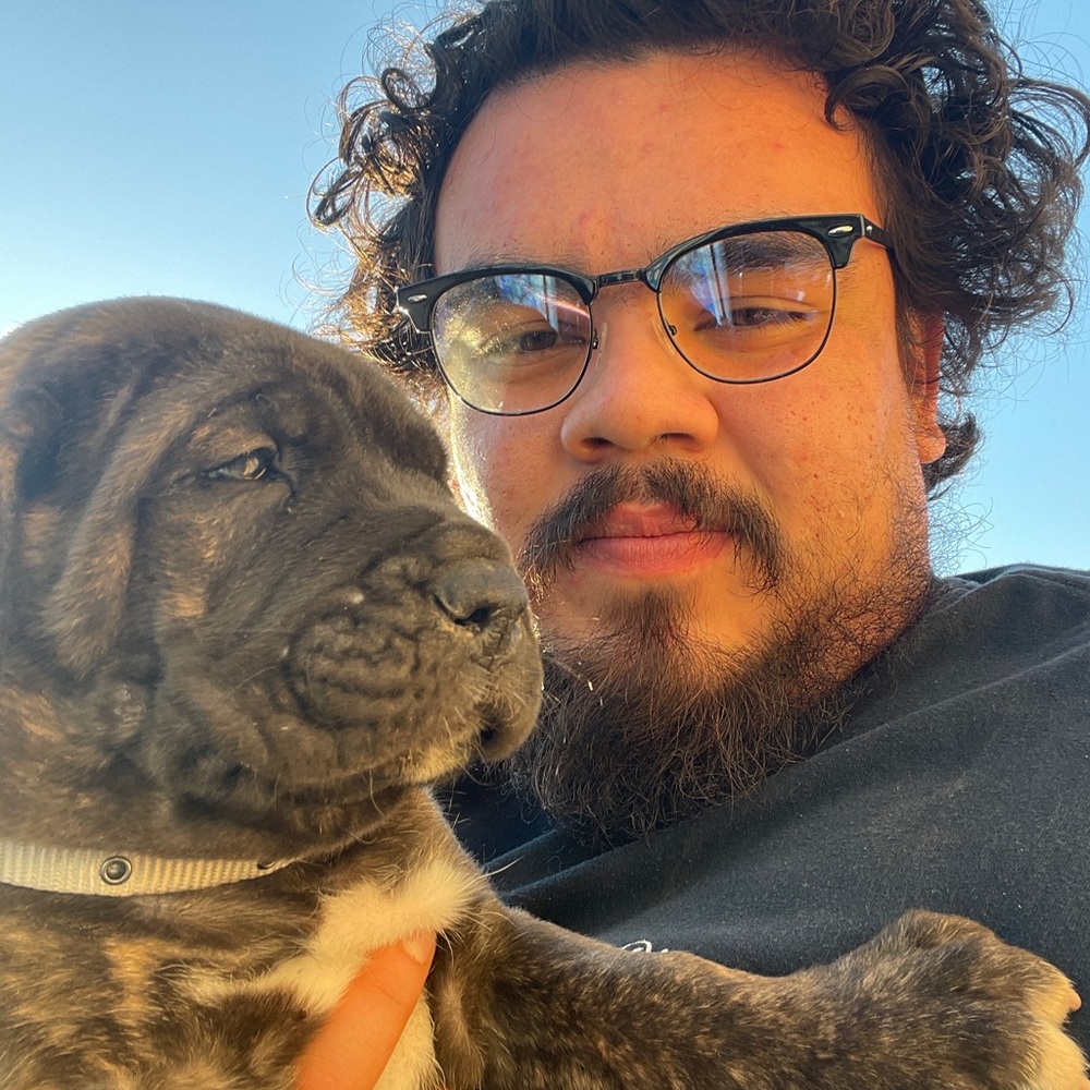 Meet your Posher, Arnold
